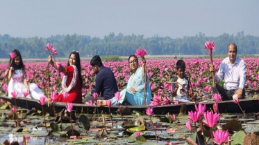 শ্রীমঙ্গল হাইল হাওরে ৫ কিলোমিটার জুড়ে বিশাল শাপলা বন শ্রীমঙ্গল হাইল হাওরে ৫ কিলোমিটার জুড়ে বিশাল শাপলা বন