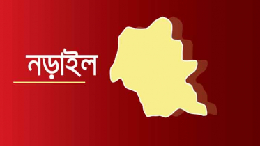 নড়াইলে পিকআপের ধাক্কায় ইজিবাইক যাত্রী নিহত
