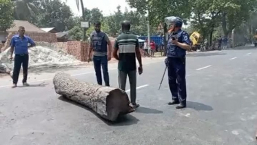 লালপুরে বিএনপির দুই গ্রুপের সংঘর্ষে আহত ৭,মহাসড়ক অবরোধ