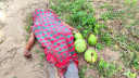 ডাব চুরি করতে গিয়ে গাছ থেকে পড়ে এক ব্যক্তির মৃত্যু ডাব চুরি করতে গিয়ে গাছ থেকে পড়ে এক ব্যক্তির মৃত্যু