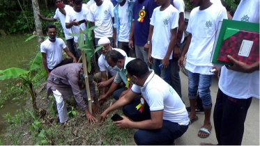 নওগাঁয়  মাসব্যাপী বৃক্ষ রোপন শুরু