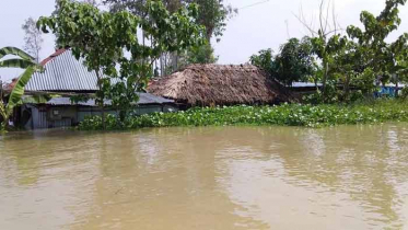নওগাঁয় বন্যা পরিস্থিতির অবনতি, ১০টি ইউনিয়ন প্লাবিত