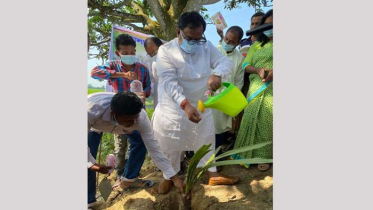 নওগাঁয় ২০ হাজার তালবীজ রোপন কর্মসূচির উদ্বোধন