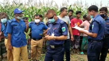 ভুট্টাক্ষেতে শিশুর হাত-পা বাঁধা রক্তাক্ত মরদেহ