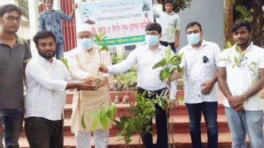পত্নীতলাকে সবুজ নগরী হিসেবে গড়ে তুলতে গাছের চারা বিতরণ