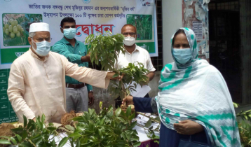 ধামইরহাটে বিনামূল্যে ফলজ ও ঔষধি গাছ বিতরণ