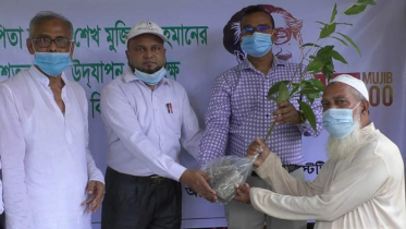 নওগাঁয় মৃত্তিকা সম্পদ উন্নয়ন ইনস্টিটিউটের চারা বিতরণ