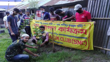 সাপাহারে বৃক্ষরোপণ কর্মসূচির উদ্বোধন 