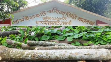 অধ্যক্ষের বিরুদ্ধে কলেজের গাছ কাটার অভিযোগ