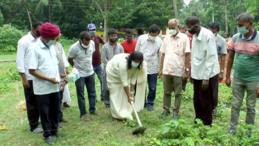 নড়াইলে সুলতান চারুকলা মহাবিদ্যালয়ের নির্মাণ কাজের উদ্বোধন