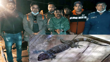 নড়াইলে তক্ষকসহ যুবক আটক