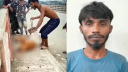 জীবন্ত কুকুরের গলায় ইট বেঁধে নদীতে নিক্ষেপ, যুবক আটক