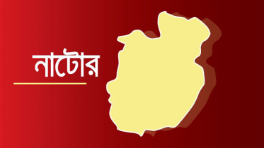 সিংড়ায় সেতু থেকে পড়ে প্রতিবন্ধি যুবকের মৃত্যু