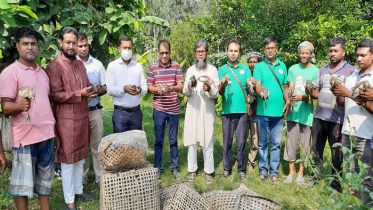 মুক্ত আকাশে উড়ল চলন বিলের ১০১টি পাখি