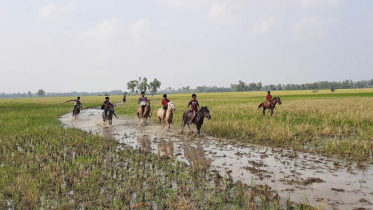 সিংড়ায় ঐতিহ্যবাহী ঘোড়া দৌড় প্রতিযোগিতা 