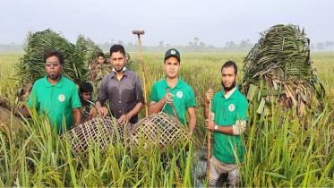 চলনবিলে শিকারীর কবল থেকে শতাধিক কালিম পাখি উদ্ধার