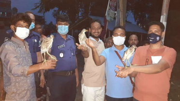 মুচলেকা দিয়ে পাখি শিকারীর মুক্তি