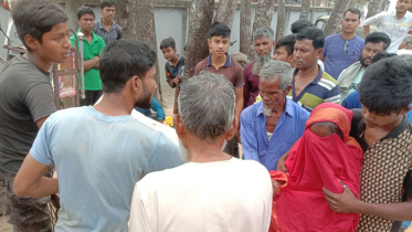 ভাইকে পেয়ারা দিতে গিয়ে লাশ হলেন শামীম