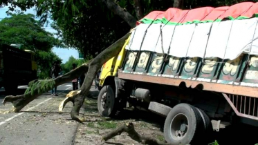 গাছের সঙ্গে চলন্ত ট্রাকের ধাক্কা, হেলপার নিহত 