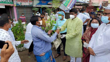 নাটোরে বৃক্ষরোপণ কার্যক্রমের উদ্বোধন