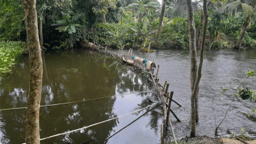 নাটোরে গোদাই নদী থেকে সোঁতি জালের ২টি বাঁধ অপসারণ 