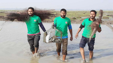চলনবিলে শিকারিদের হাত থেকে রক্ষা পেল ২০টি পাখি