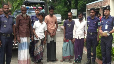 বড়াইগ্রামে ছিনতাই হওয়া ২২ গরু উদ্ধার, ৬ ডাকাত গ্রেপ্তার