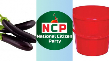 এনসিপিকে বেগুন-টিফিন ক্যারিয়ারসহ ৫০ প্রতীকের অপশন ইসির 