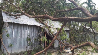 নেত্রকোনায় ঝড় ও শিলাবৃষ্টিতে ব্যাপক ক্ষয়ক্ষতি