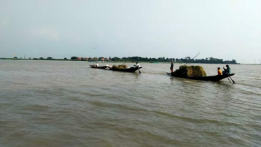 নেত্রকোনার হাওরে ধমকা হাওয়ার কবলে পড়ে নৌকা ডুবে নিহত ৩