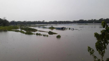 নদ-নদীর পানি বৃদ্ধি, বন্যায় ভাসছে নেত্রকোনা