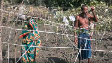 সিত্রাংয়ে নোয়াখালীতে ব্যাপক ক্ষয়ক্ষতি, সহযোগিতা চান ক্ষতিগ্রস্তরা