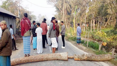 কোম্পানীগঞ্জে আধা বেলা হরতাল পালিত