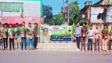 নোয়াখালীতে প্রধানমন্ত্রীর জন্মদিনে গাছের চারা রোপণ