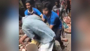 ভূমিকম্পে পুরান ঢাকায় ভবন ধসে ৩ পথচারীর মৃত্যু