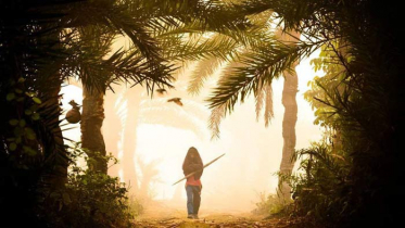 কমেছে তাপমাত্রা, প্রকৃতিতে শীতের আমেজ