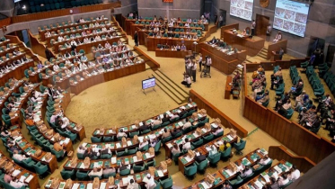 সংসদে একাধিক অধ্যাদেশ আইনে রূপান্তর, কণ্ঠভোটে পাস