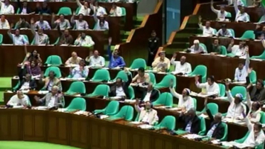 জ্বালানি সংকট সমাধানে সংসদে বিশেষ কমিটি গঠন, মেয়াদ ৩০ দিন