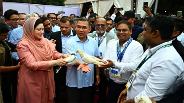 চিকিৎসক সমাবেশের উদ্বোধন করলেন প্রধানমন্ত্রী চিকিৎসক সমাবেশের উদ্বোধন করলেন প্রধানমন্ত্রী