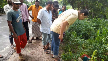পাবনায় মহাসড়কের পাশে মিলল নবজাতকের কার্টনবন্দি মরদেহ