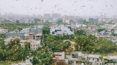 দিল্লির আকাশে পঙ্গপাল