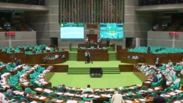 পাকিস্তানি বাহিনীর ৩ দেশীয় সহযোগী দলের নাম রেখে জামুকা বিল পাস