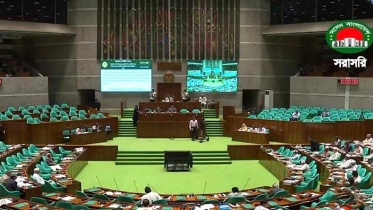 উপজেলা পরিষদে এমপিরা পাচ্ছেন অফিস কক্ষ, জিও জারি
