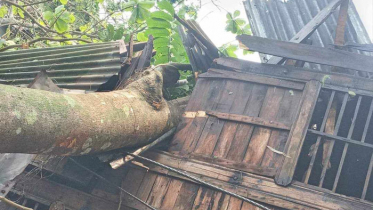 ১০ মিনিটের কালবৈশাখী ঝড়ে লণ্ডভণ্ড পিরোজপুর, নিহত ১