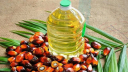 পাম অয়েলের দাম লিটারে ১৯ টাকা কমালো সরকার