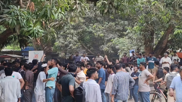 রাবিতে ছবি তোলা নিয়ে দুই বিভাগের শিক্ষার্থীদের মধ্যে সংঘর্ষ রাবিতে ছবি তোলা নিয়ে দুই বিভাগের শিক্ষার্থীদের মধ্যে সংঘর্ষ