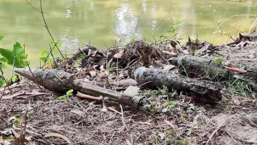 রাবিতে আরও ৪টি বোমা উদ্ধার