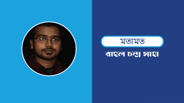 সুবর্ণজয়ন্তী, ভারতের রাষ্ট্রপতির আগমন, কিছু প্রসঙ্গকথা