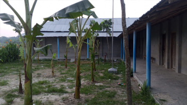 ফটকে তালা মাঠে কলাগাছ, স্কুল দখলের চেষ্টা দাতার ফটকে তালা মাঠে কলাগাছ, স্কুল দখলের চেষ্টা দাতার
