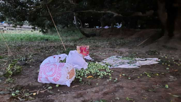 আম কুড়াতে গিয়ে বজ্রপাতে নিহত ৪ 